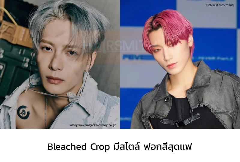 ทรงผมชาย Bleached Crop